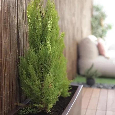 アパート Supertubos Terrace *